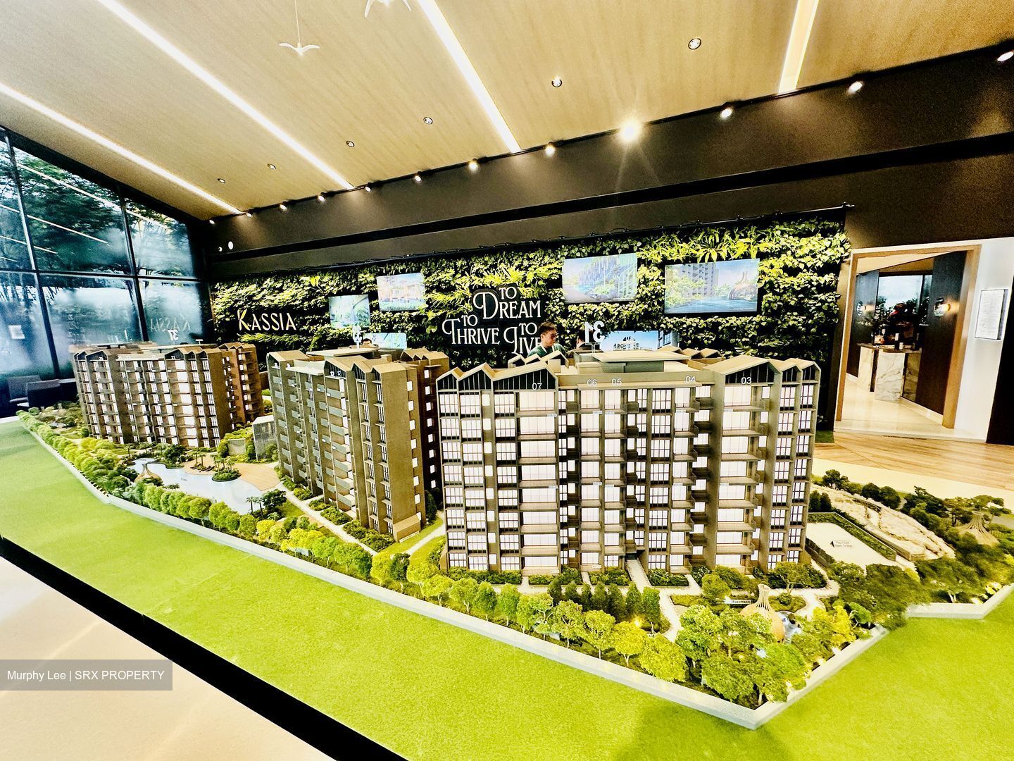 Kassia (D17), Condominium #447873451
